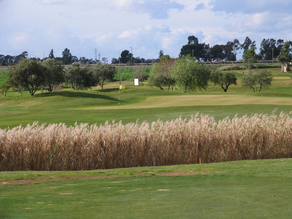 Golf Club Metaponto Pension Buitenkant foto